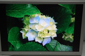 MONITOR APPLE Cinema Display 20'' A1081 FV GW