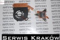 5094884978
