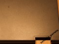 5079193784_1
